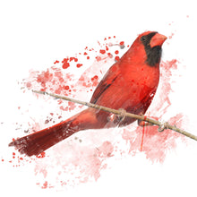 Lade das Bild in den Galerie-Viewer, Aluminiumbild gebürstet Roter Kardinal Vogel Aquarell Quadrat
