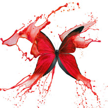 Lade das Bild in den Galerie-Viewer, Acrylglasbild Roter Schmetterling Quadrat
