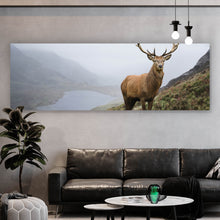 Lade das Bild in den Galerie-Viewer, Aluminiumbild Rotwildhirsch im Gebirge Panorama
