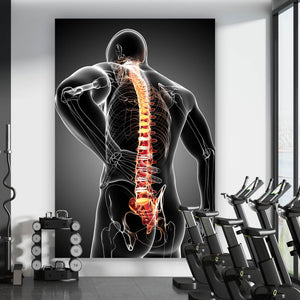Aluminiumbild Rückenschmerzen Anatomie Hochformat