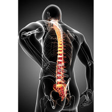 Lade das Bild in den Galerie-Viewer, Acrylglasbild Rückenschmerzen Anatomie Hochformat
