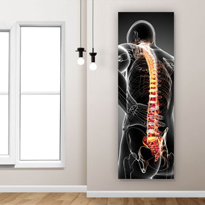 Leinwandbild Rückenschmerzen Anatomie Panorama Hoch