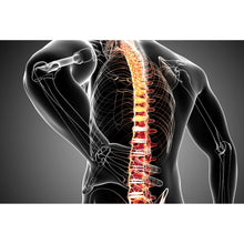 Lade das Bild in den Galerie-Viewer, Leinwandbild Rückenschmerzen Anatomie Querformat
