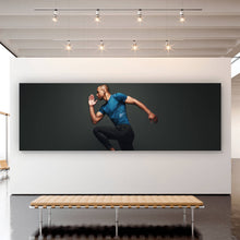Lade das Bild in den Galerie-Viewer, Aluminiumbild gebürstet Run Panorama
