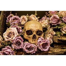 Lade das Bild in den Galerie-Viewer, Leinwandbild Schädel auf Rosen Querformat
