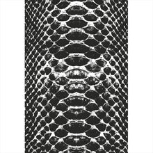 Lade das Bild in den Galerie-Viewer, Leinwandbild Schlangenhaut Muster Schwarz Weiß Hochformat
