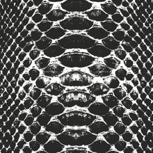 Lade das Bild in den Galerie-Viewer, Leinwandbild Schlangenhaut Muster Schwarz Weiß Quadrat
