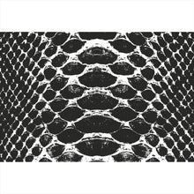 Lade das Bild in den Galerie-Viewer, Acrylglasbild Schlangenhaut Muster Schwarz Weiß Querformat
