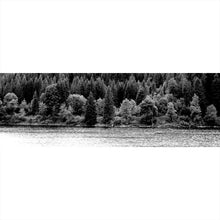 Lade das Bild in den Galerie-Viewer, Aluminiumbild gebürstet Schluchsee im Schwarzwald schwarz weiss Panorama
