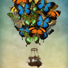 Lade das Bild in den Galerie-Viewer, Poster Schmetterling Heißluftballon Quadrat

