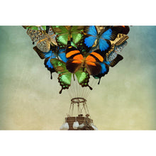 Lade das Bild in den Galerie-Viewer, Aluminiumbild gebürstet Schmetterling Heißluftballon Querformat
