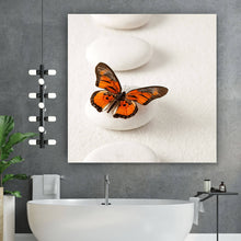 Lade das Bild in den Galerie-Viewer, Aluminiumbild gebürstet Schmetterling Orange Quadrat
