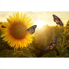 Lade das Bild in den Galerie-Viewer, Leinwandbild Schmetterlinge im Sonnenblumenfeld Querformat
