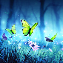 Lade das Bild in den Galerie-Viewer, Poster Schmetterlinge im Zauberwald Quadrat
