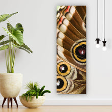 Lade das Bild in den Galerie-Viewer, Acrylglasbild Schmetterlings Flügel Brauch Panorama Hoch
