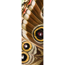 Lade das Bild in den Galerie-Viewer, Aluminiumbild gebürstet Schmetterlings Flügel Brauch Panorama Hoch
