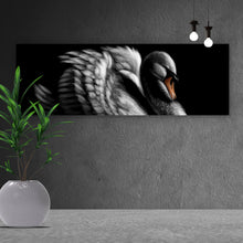 Lade das Bild in den Galerie-Viewer, Aluminiumbild Schwan auf schwarzem Hintergrund Panorama
