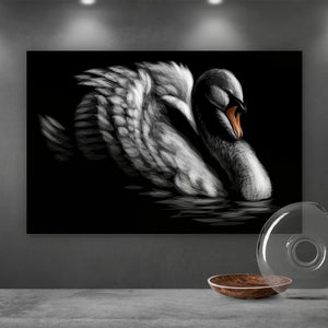 Acrylglasbild Schwan auf schwarzem Hintergrund Querformat