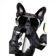 Lade das Bild in den Galerie-Viewer, Aluminiumbild Selfie Time Bulldogge Hochformat
