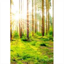 Lade das Bild in den Galerie-Viewer, Acrylglasbild Sonnenaufgang im Wald Hochformat
