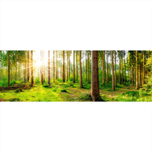 Lade das Bild in den Galerie-Viewer, Aluminiumbild Sonnenaufgang im Wald Panorama
