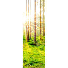 Lade das Bild in den Galerie-Viewer, Poster Sonnenaufgang im Wald Panorama Hoch

