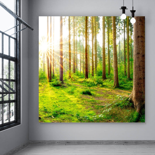 Acrylglasbild Sonnenaufgang im Wald Quadrat