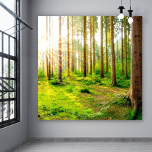Lade das Bild in den Galerie-Viewer, Aluminiumbild Sonnenaufgang im Wald Quadrat
