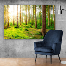 Lade das Bild in den Galerie-Viewer, Spannrahmenbild Sonnenaufgang im Wald Querformat
