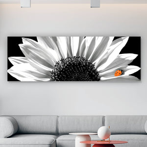 Aluminiumbild gebürstet Sonnenblume mit Marienkäfer Panorama