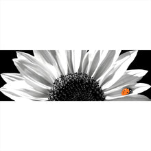Lade das Bild in den Galerie-Viewer, Aluminiumbild Sonnenblume mit Marienkäfer Panorama

