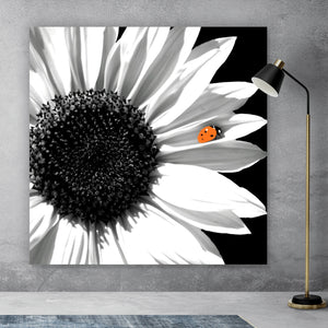Spannrahmenbild Sonnenblume mit Marienkäfer Quadrat