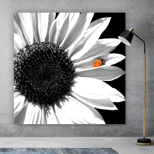 Aluminiumbild Sonnenblume mit Marienkäfer Quadrat