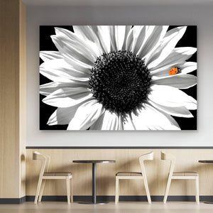 Aluminiumbild gebürstet Sonnenblume mit Marienkäfer Querformat