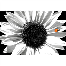 Lade das Bild in den Galerie-Viewer, Aluminiumbild Sonnenblume mit Marienkäfer Querformat
