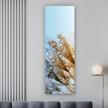 Lade das Bild in den Galerie-Viewer, Aluminiumbild gebürstet Tautropfen auf Löwenzahn Panorama Hoch
