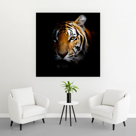 Acrylglasbild Tiger Portrait Quadrat