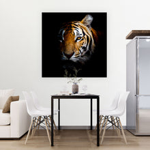 Lade das Bild in den Galerie-Viewer, Aluminiumbild gebürstet Tiger Portrait Quadrat
