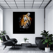 Lade das Bild in den Galerie-Viewer, Aluminiumbild gebürstet Tiger Portrait Quadrat
