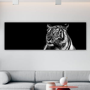 Aluminiumbild Tiger Portrait Schwarz Weiß Panorama
