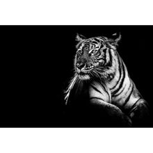 Lade das Bild in den Galerie-Viewer, Aluminiumbild gebürstet Tiger Portrait Schwarz Weiß Querformat
