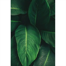 Lade das Bild in den Galerie-Viewer, Poster Tropische Blätter Hochformat
