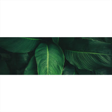 Lade das Bild in den Galerie-Viewer, Leinwandbild Tropische Blätter Panorama
