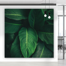 Lade das Bild in den Galerie-Viewer, Aluminiumbild Tropische Blätter Quadrat
