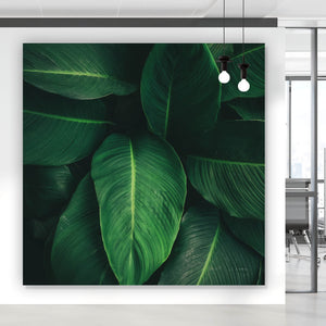 Aluminiumbild Tropische Blätter Quadrat