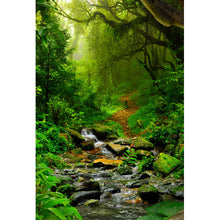 Lade das Bild in den Galerie-Viewer, Acrylglasbild Tropischer Dschungel mit Fluss Hochformat

