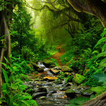 Lade das Bild in den Galerie-Viewer, Spannrahmenbild Tropischer Dschungel mit Fluss Quadrat
