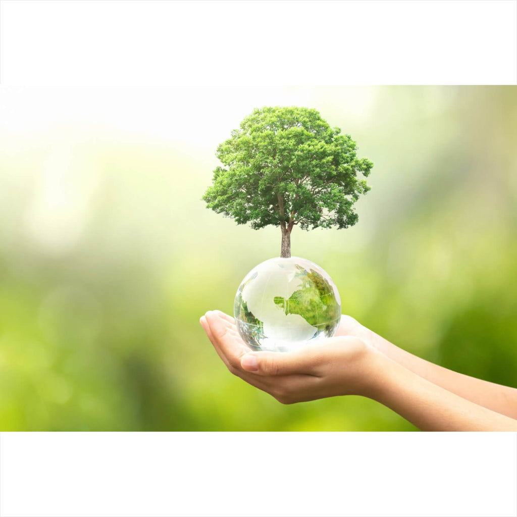 Poster Umwelt schützen im Querformat, Aufhängefertig ...