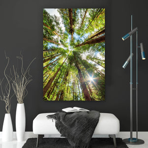 Acrylglasbild Urwald im Sonnenlicht Hochformat