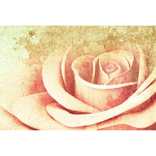 Lade das Bild in den Galerie-Viewer, Spannrahmenbild Vintage Rose Querformat
